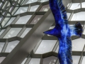 watermark_C7D_0996_tonemapped.jpg