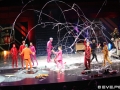 Watermark_C7D_6784