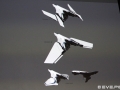 Watermark_C7D_7168